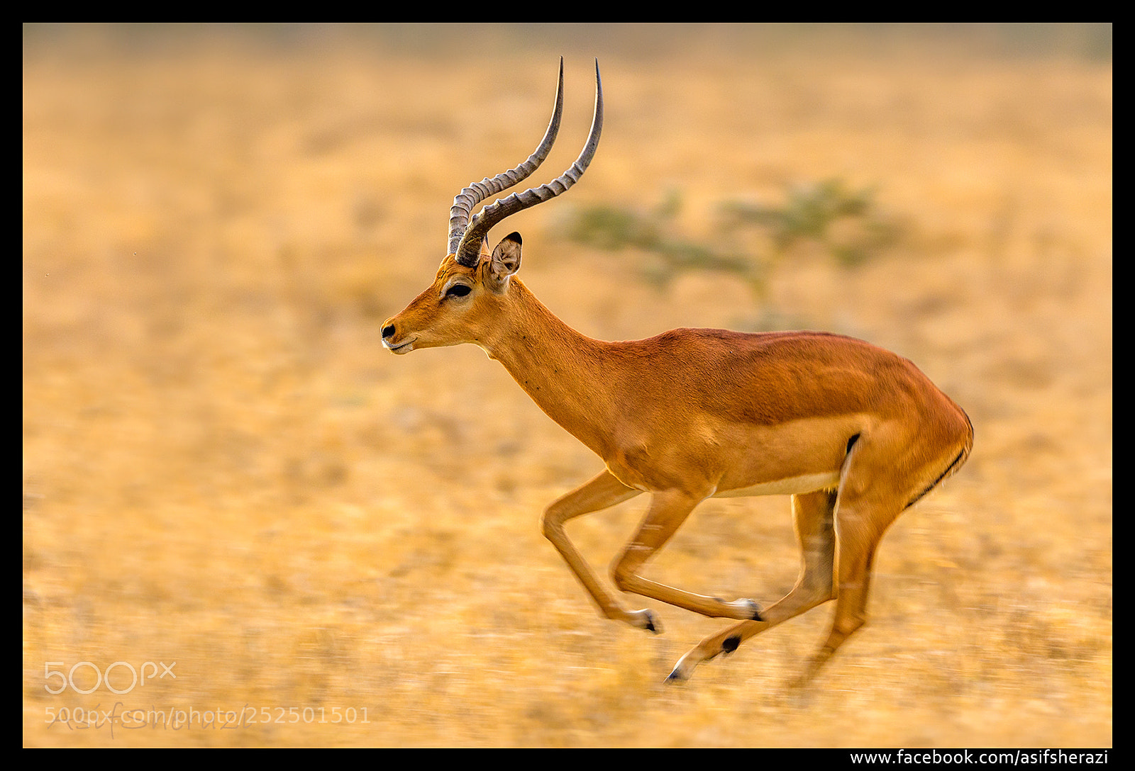 Nikon D5 sample photo. Beauty of the nature photography