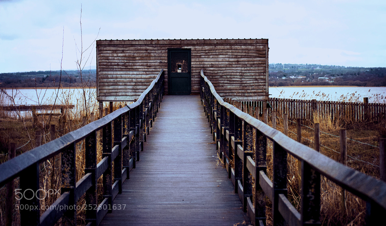 Nikon D3200 sample photo. Portmore bird hide photography