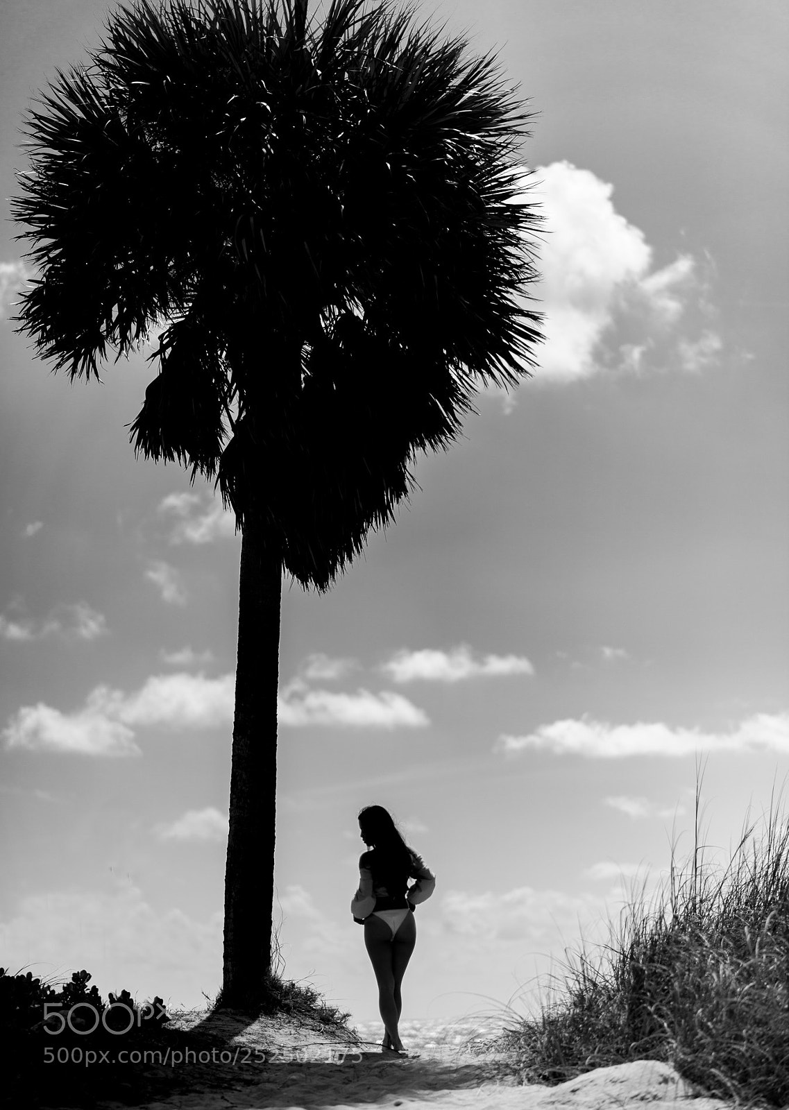 Nikon D800 sample photo. Mariah photography
