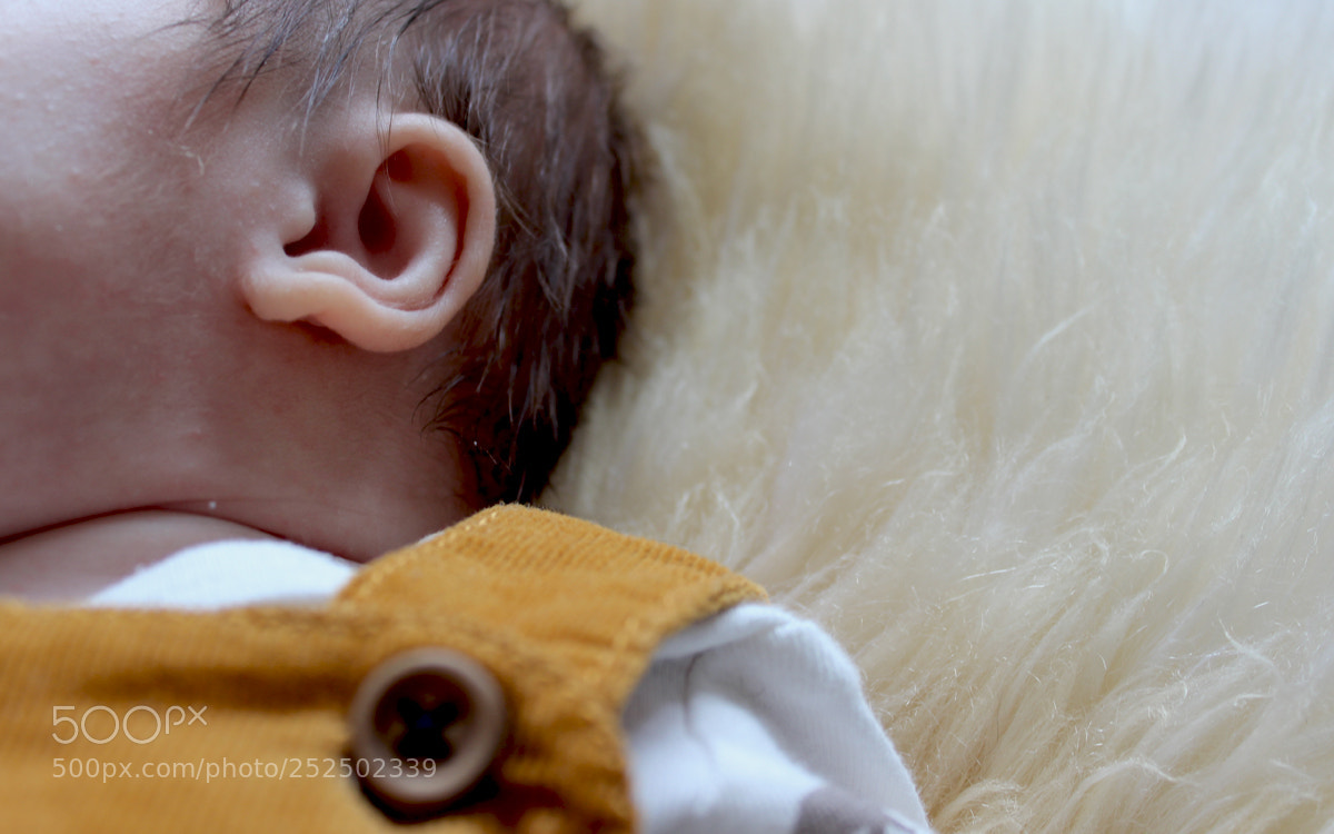 Canon EOS 600D (Rebel EOS T3i / EOS Kiss X5) sample photo. J u l i photography