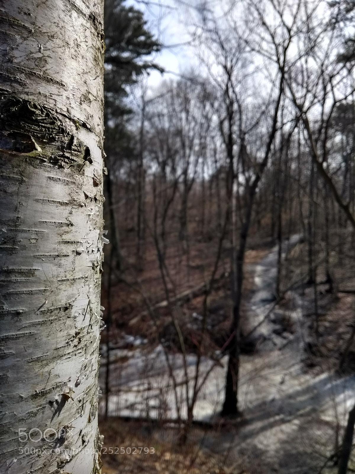 Motorola Moto G (5th Gen) sample photo. 2018.02.28 photography