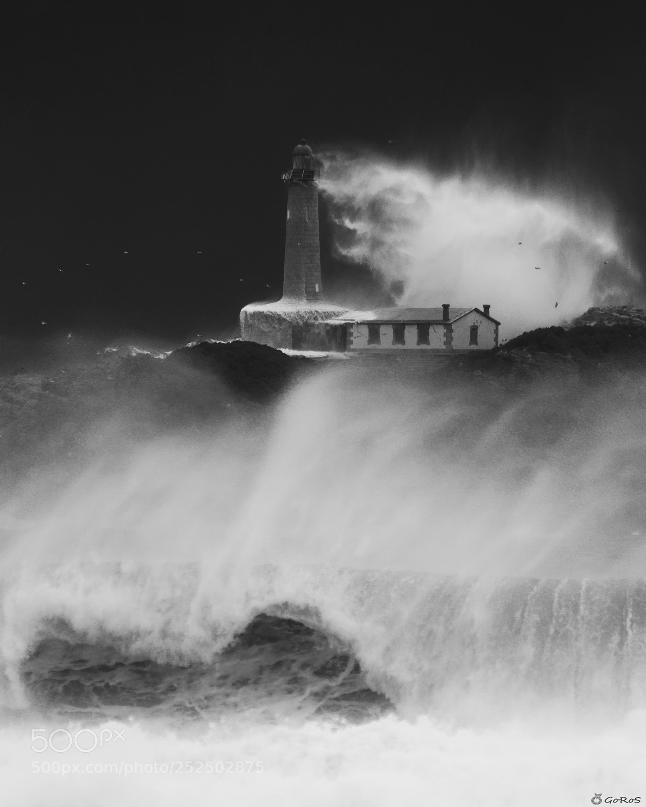 Nikon D500 sample photo. Nature's force photography