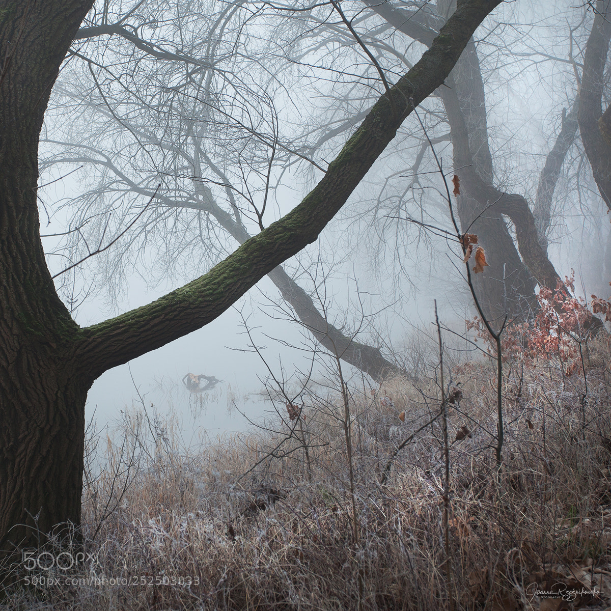Canon EOS 5D Mark II sample photo. My paths photography