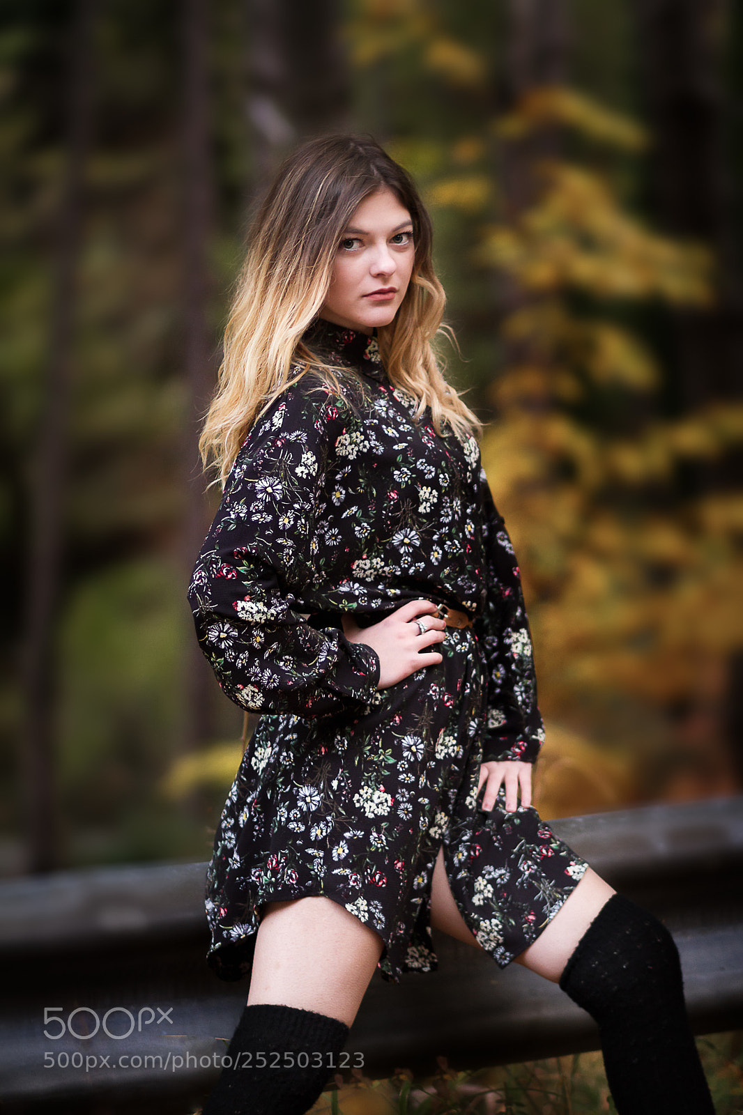Canon EOS 7D sample photo. _ld_4146-4.jpg photography