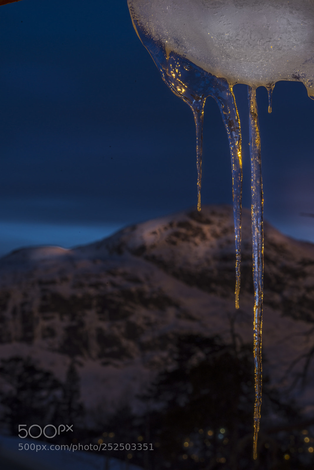 Nikon D800 sample photo. Hovden (of ) photography
