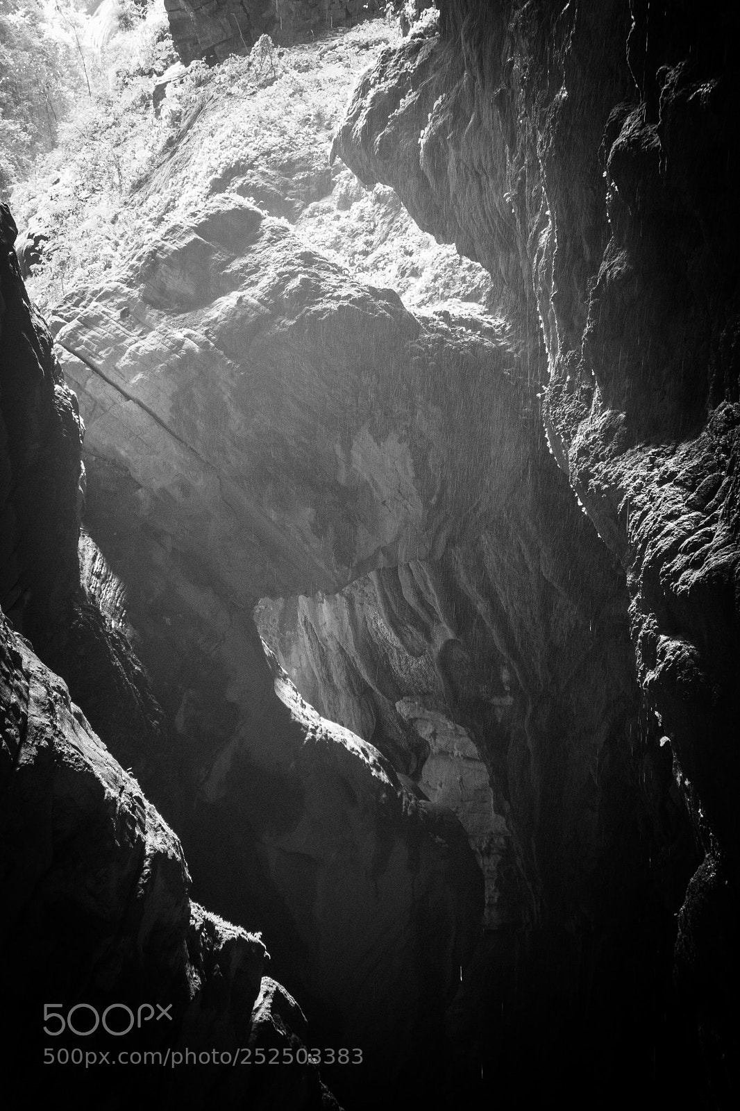 Sony a7 sample photo. Untitled photography