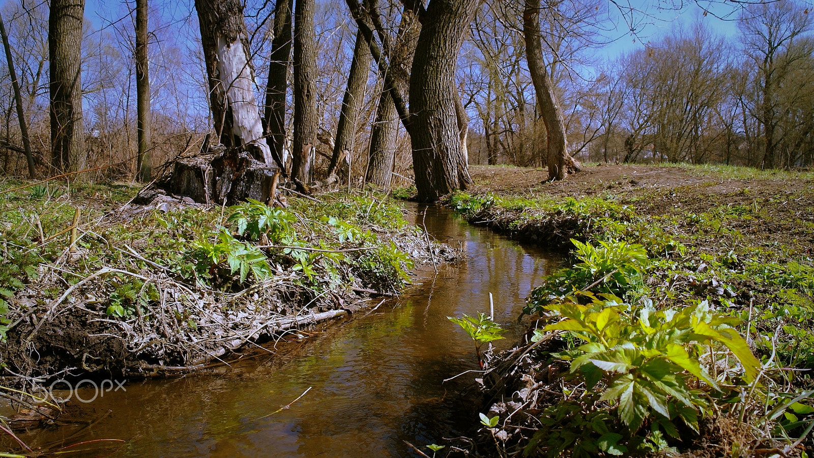 Samsung NX5 sample photo. Stream photography