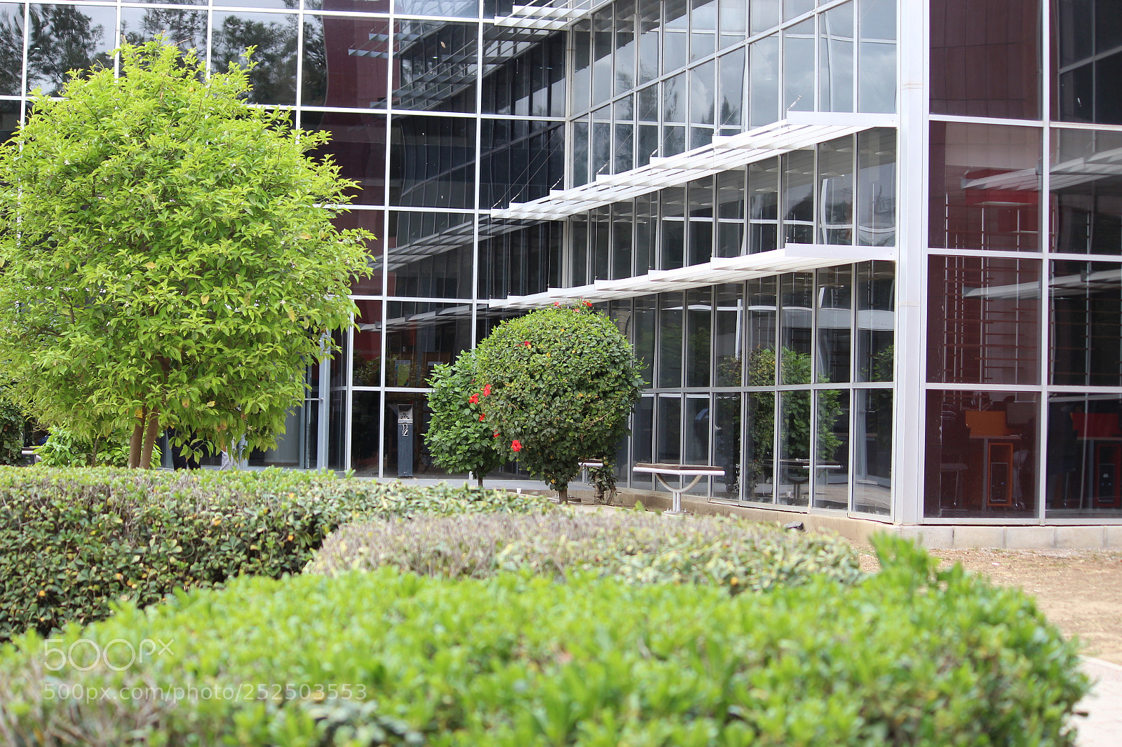 Canon EF-S 55-250mm F4-5.6 IS II sample photo. Img photography