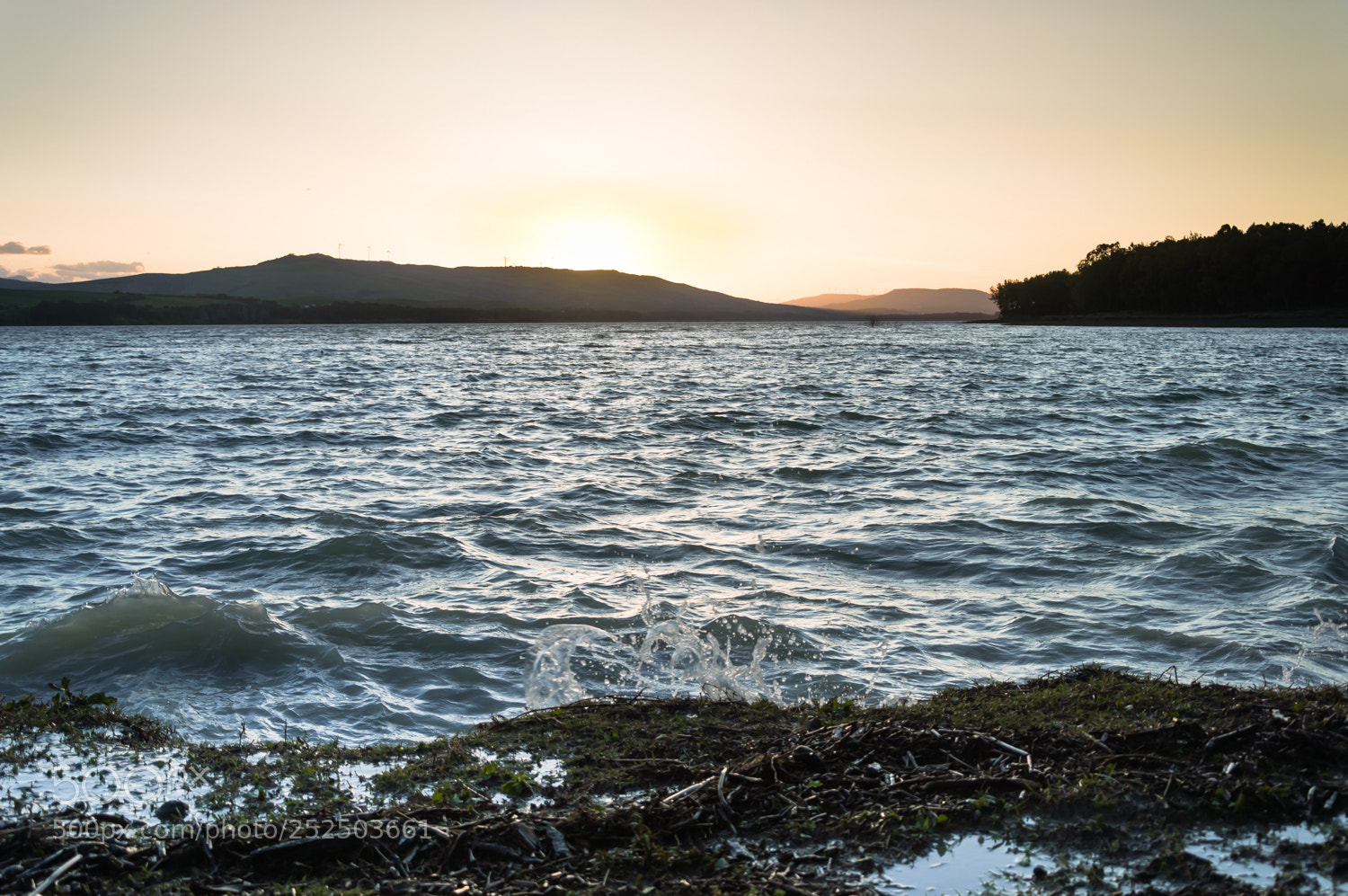 Nikon D3200 sample photo. Untitled photography