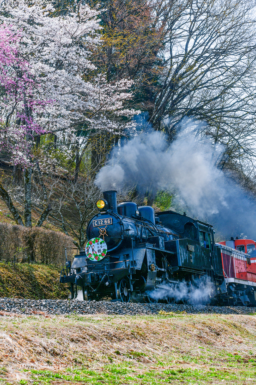Nikon D850 sample photo. Steam locomotive 2 photography