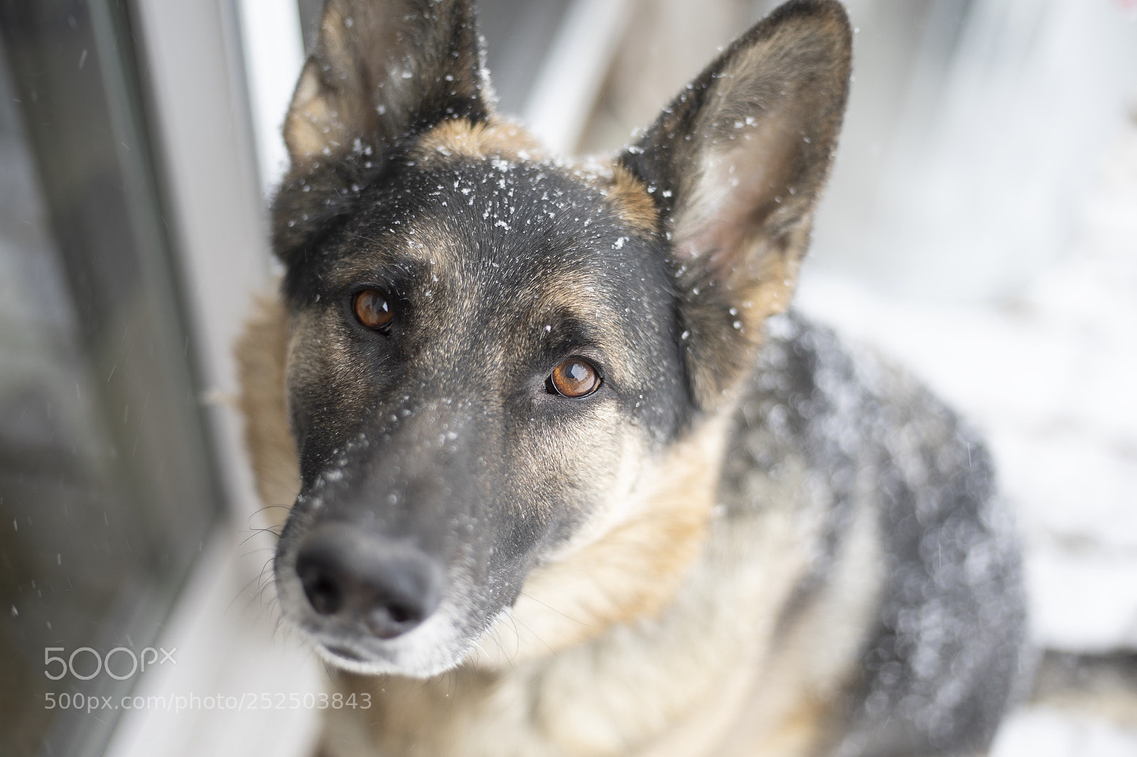 Canon EOS 5D Mark IV sample photo. Untitled photography