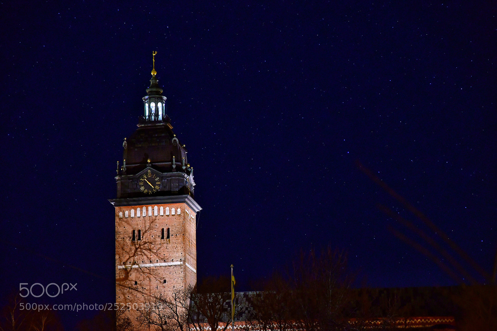 Nikon D500 sample photo. Nightshoot photography