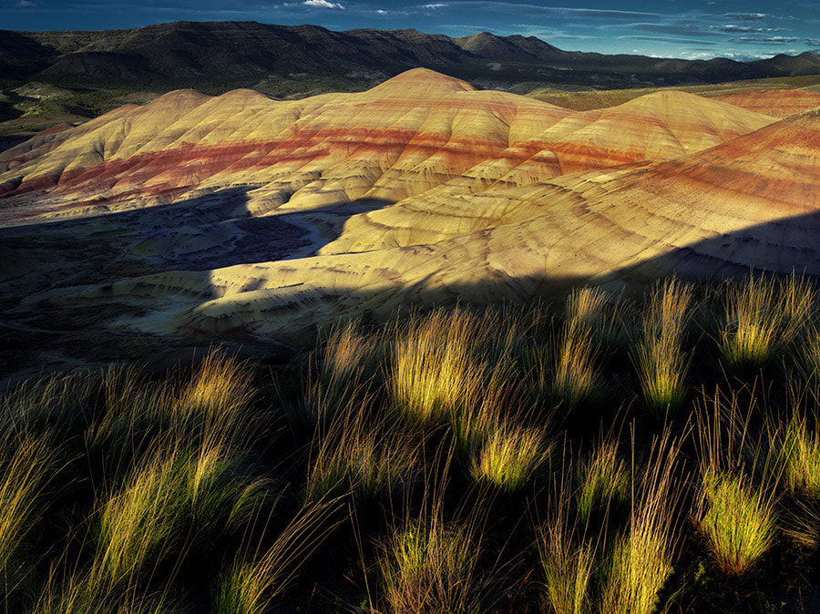 Pentax 645D sample photo. Grass and painted hills. john day fossil beds national monument. oregon photography