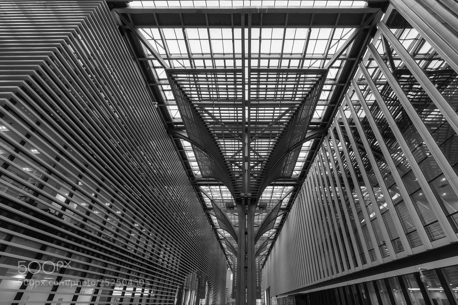 Sony a7R III sample photo. Patterns photography