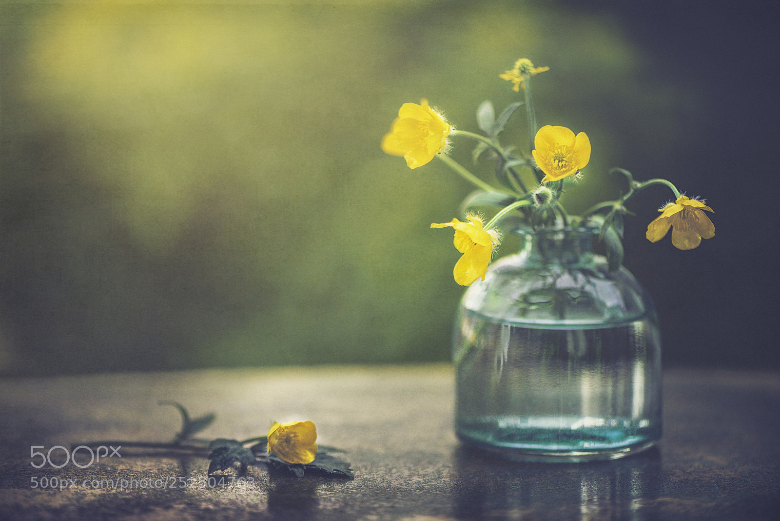 Nikon D600 sample photo. Yellow spring photography