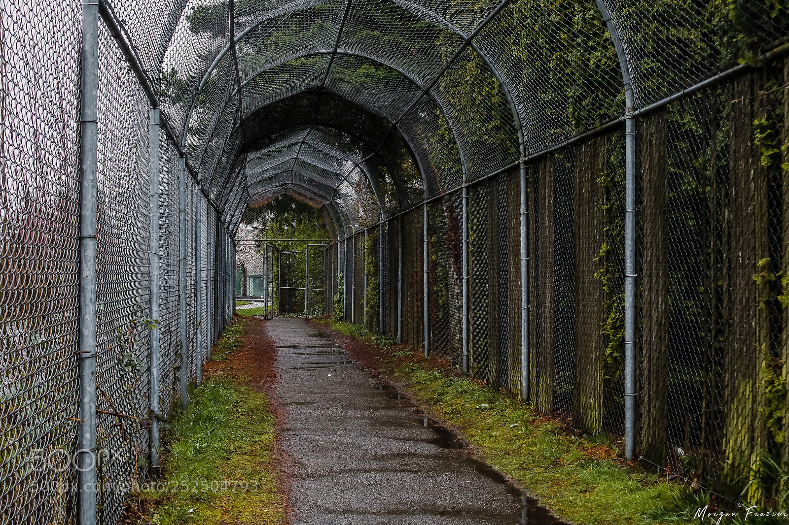Canon EOS 750D (EOS Rebel T6i / EOS Kiss X8i) sample photo. Overgrown - hdr photography