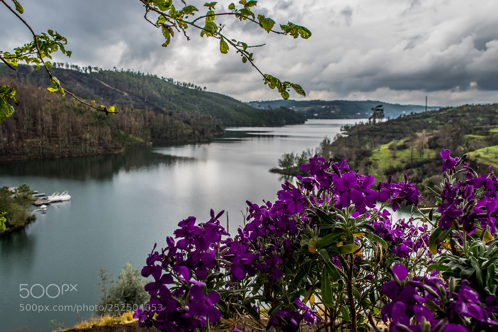 Nikon D5500 sample photo. Purple river photography