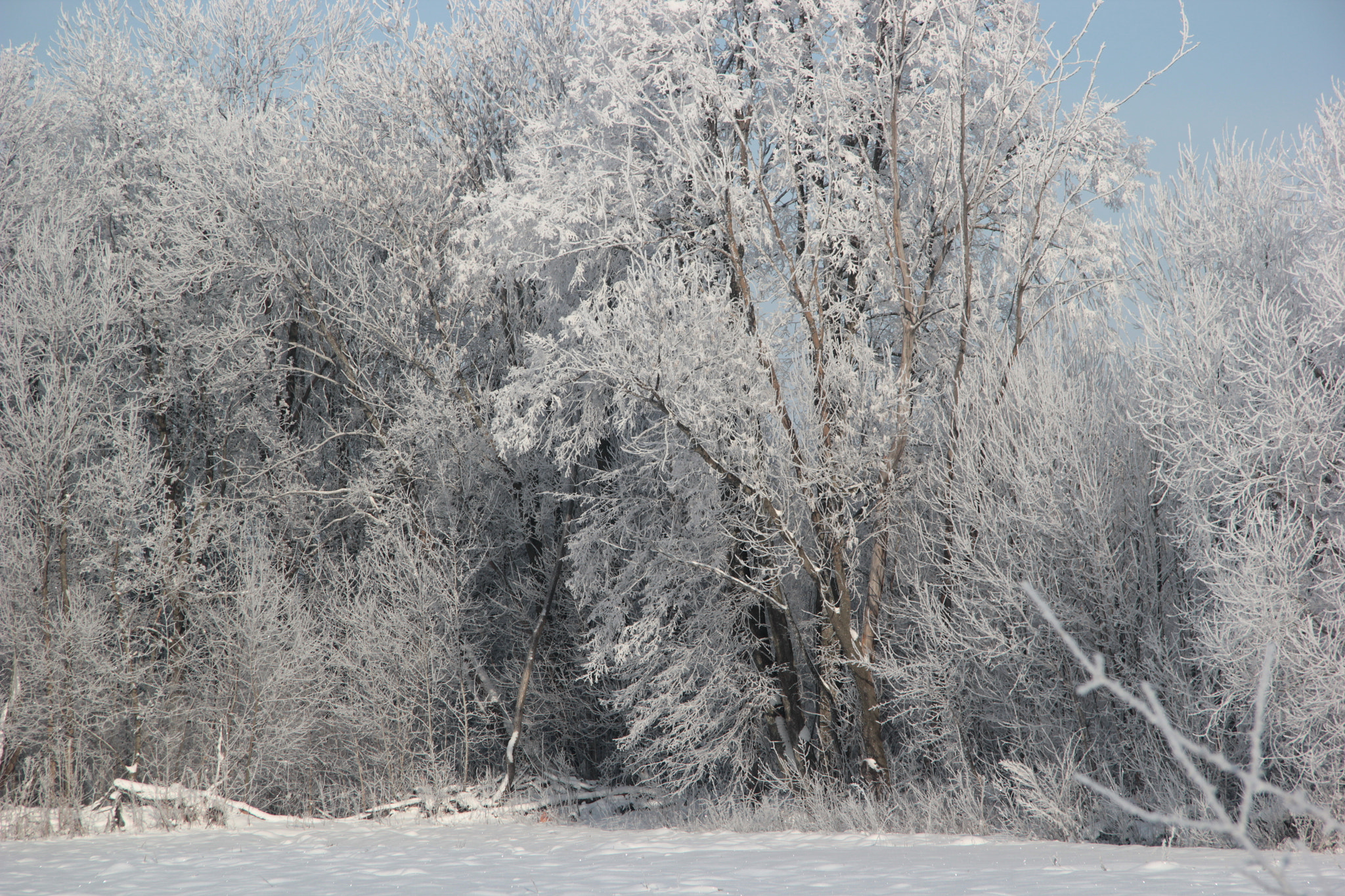 Canon EF-S 17-85mm F4-5.6 IS USM sample photo. Wintersong2018 photography