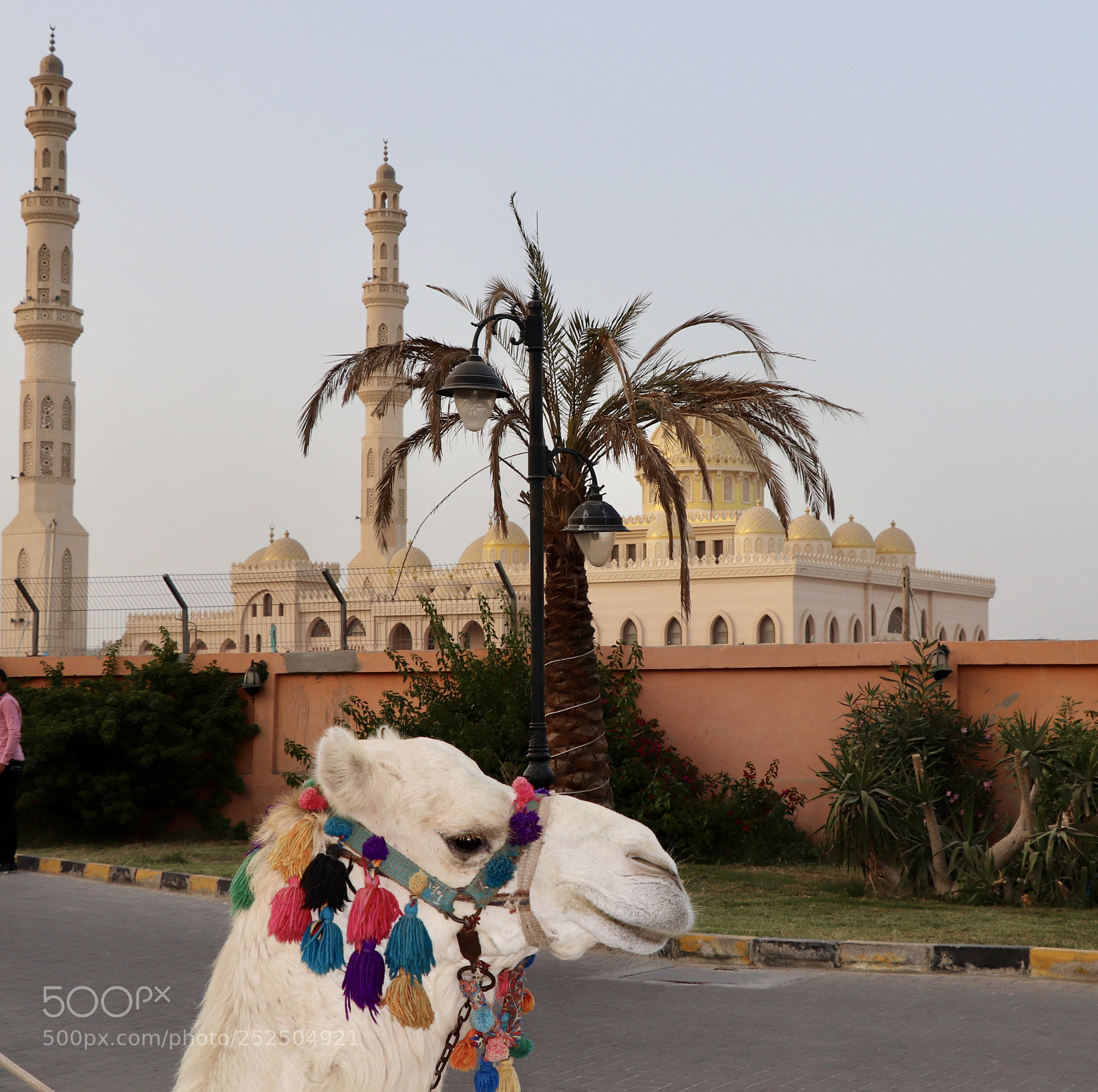 Canon EOS 77D (EOS 9000D / EOS 770D) sample photo. Al mina mosque   photography