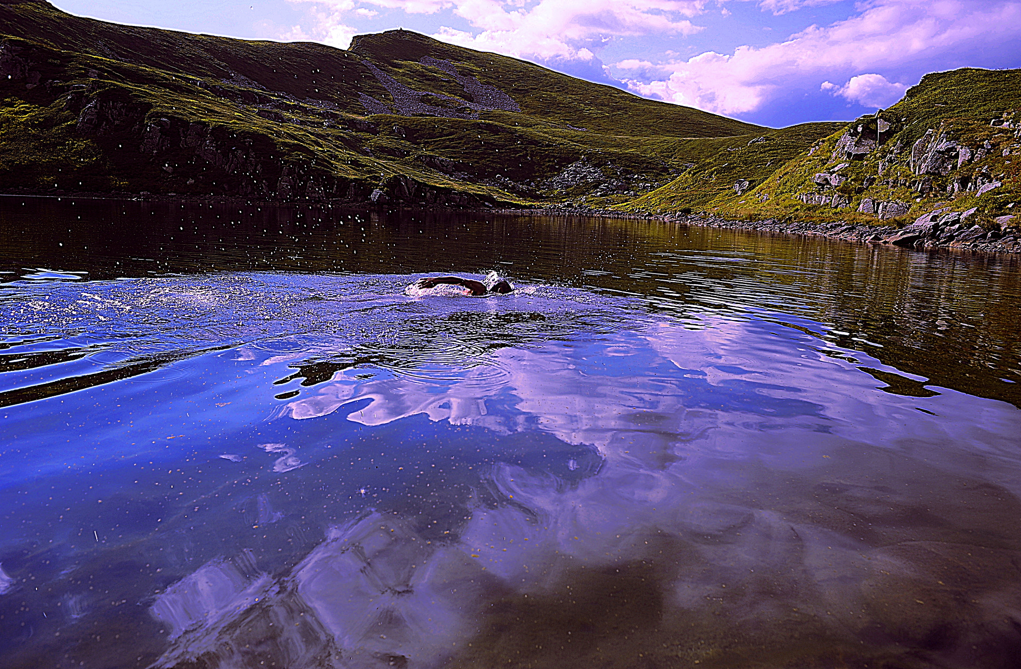Nikon D700 + Manual Lens No CPU sample photo. Swiming in high mountain photography