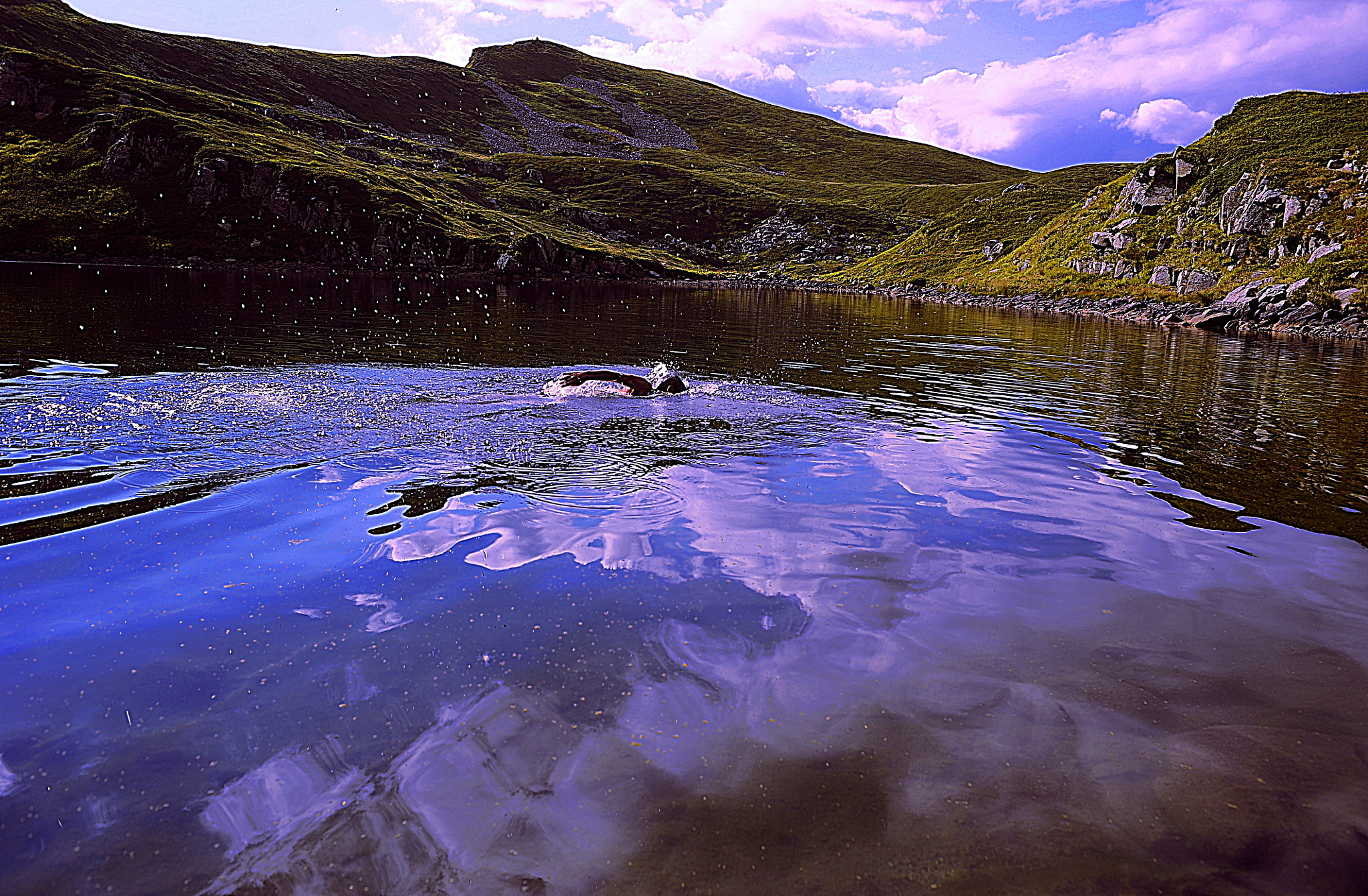 Manual Lens No CPU sample photo. Swiming in high mountain photography