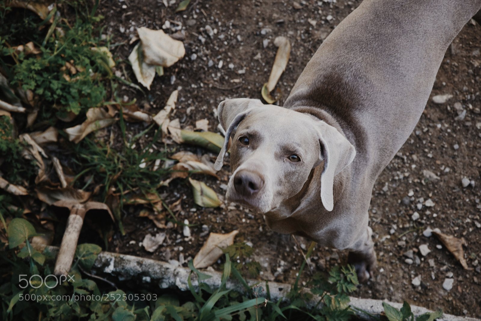 Nikon D5300 sample photo. Untitled photography