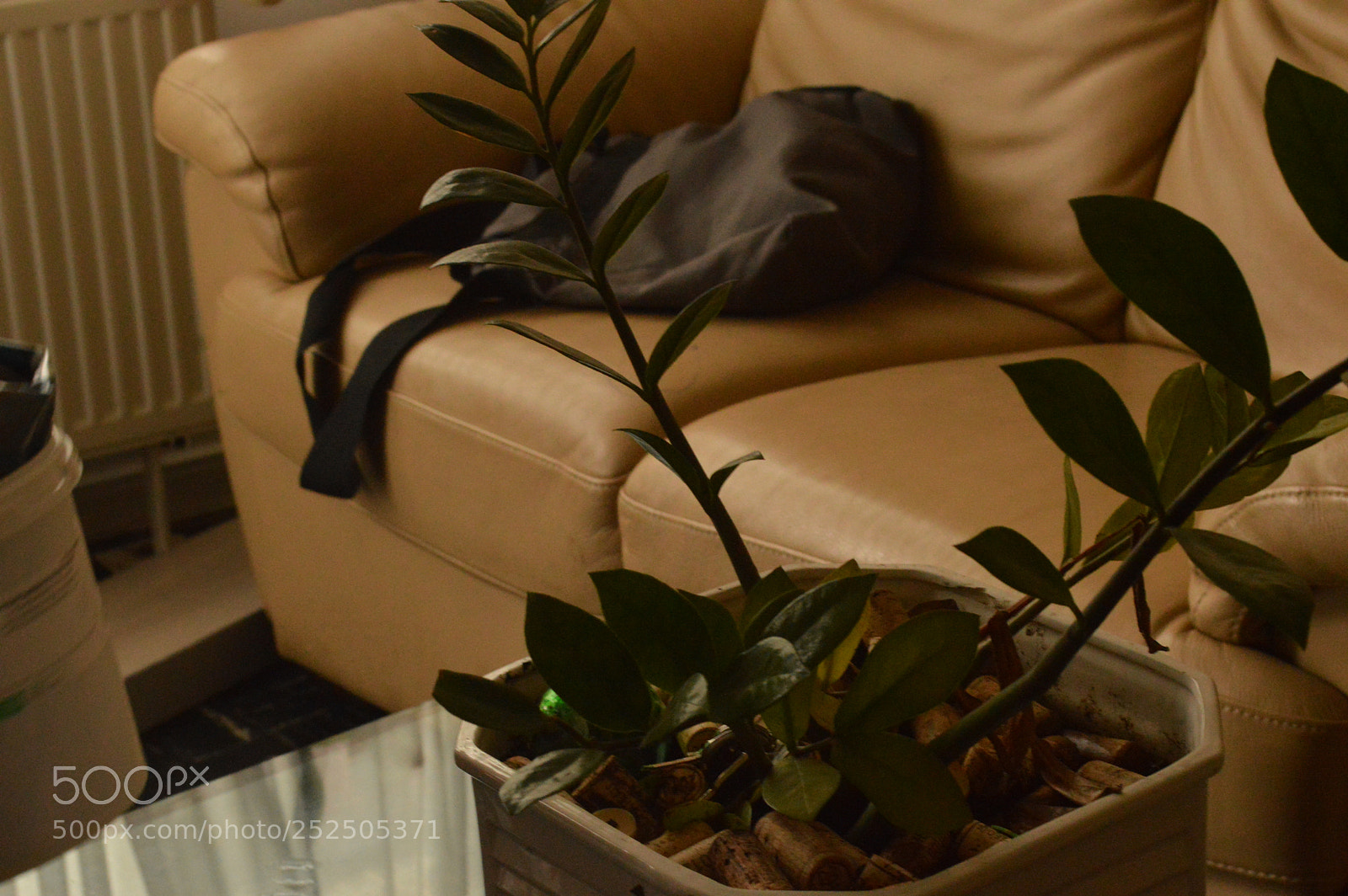 Nikon D3200 sample photo. Dsc photography
