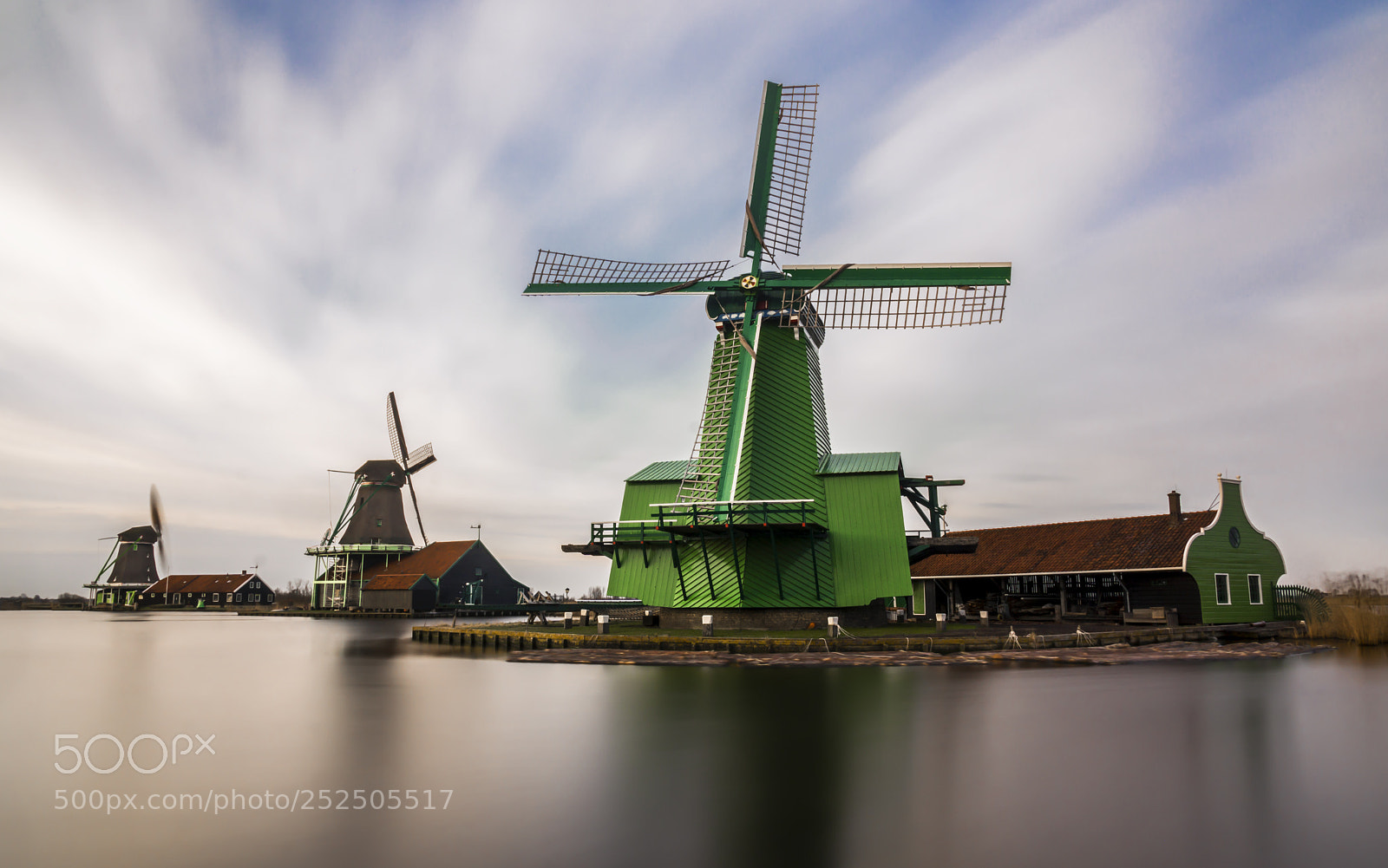 Sony a6000 sample photo. Big green photography