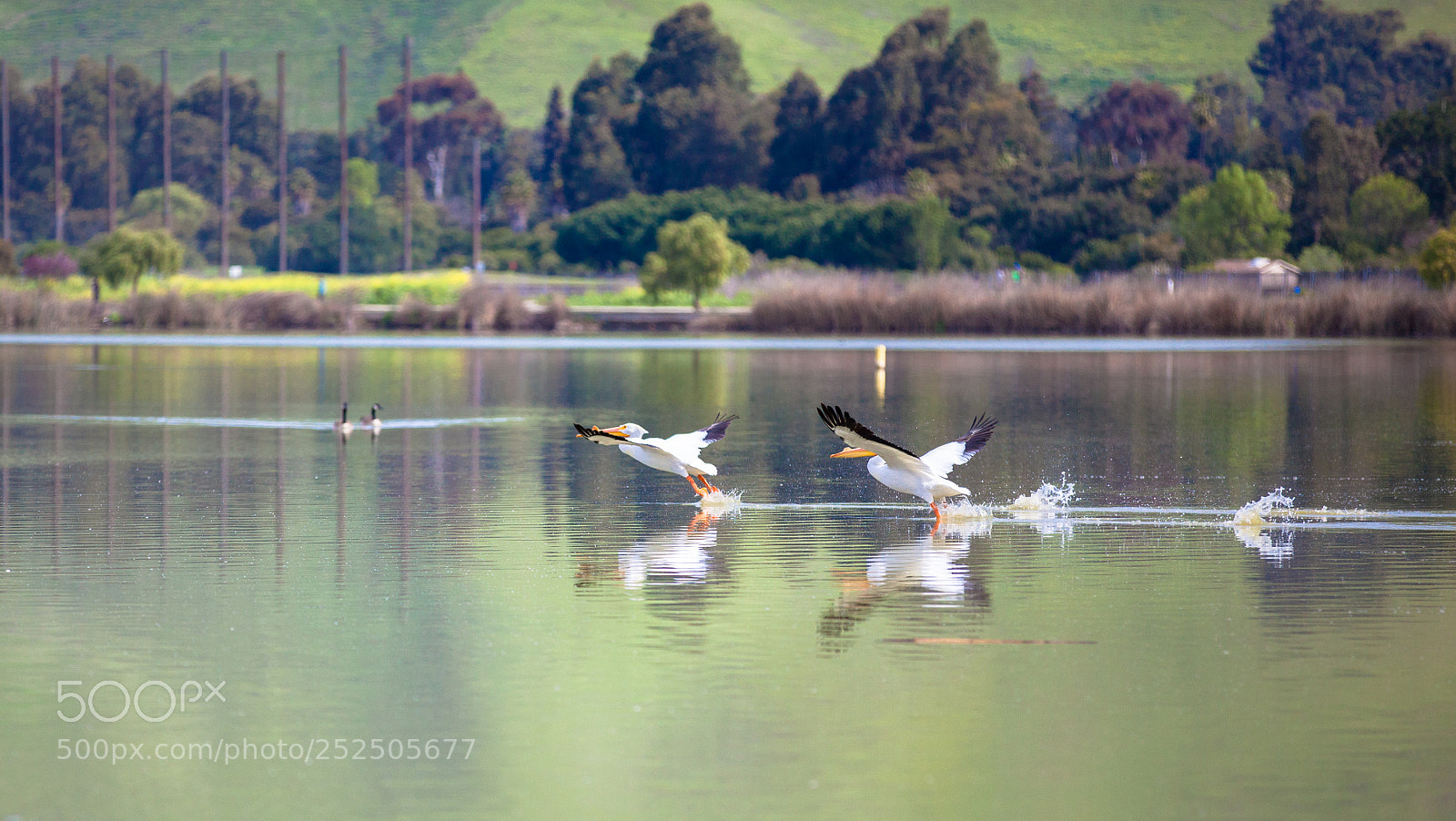 Canon EOS 5D Mark II sample photo. Taking off photography