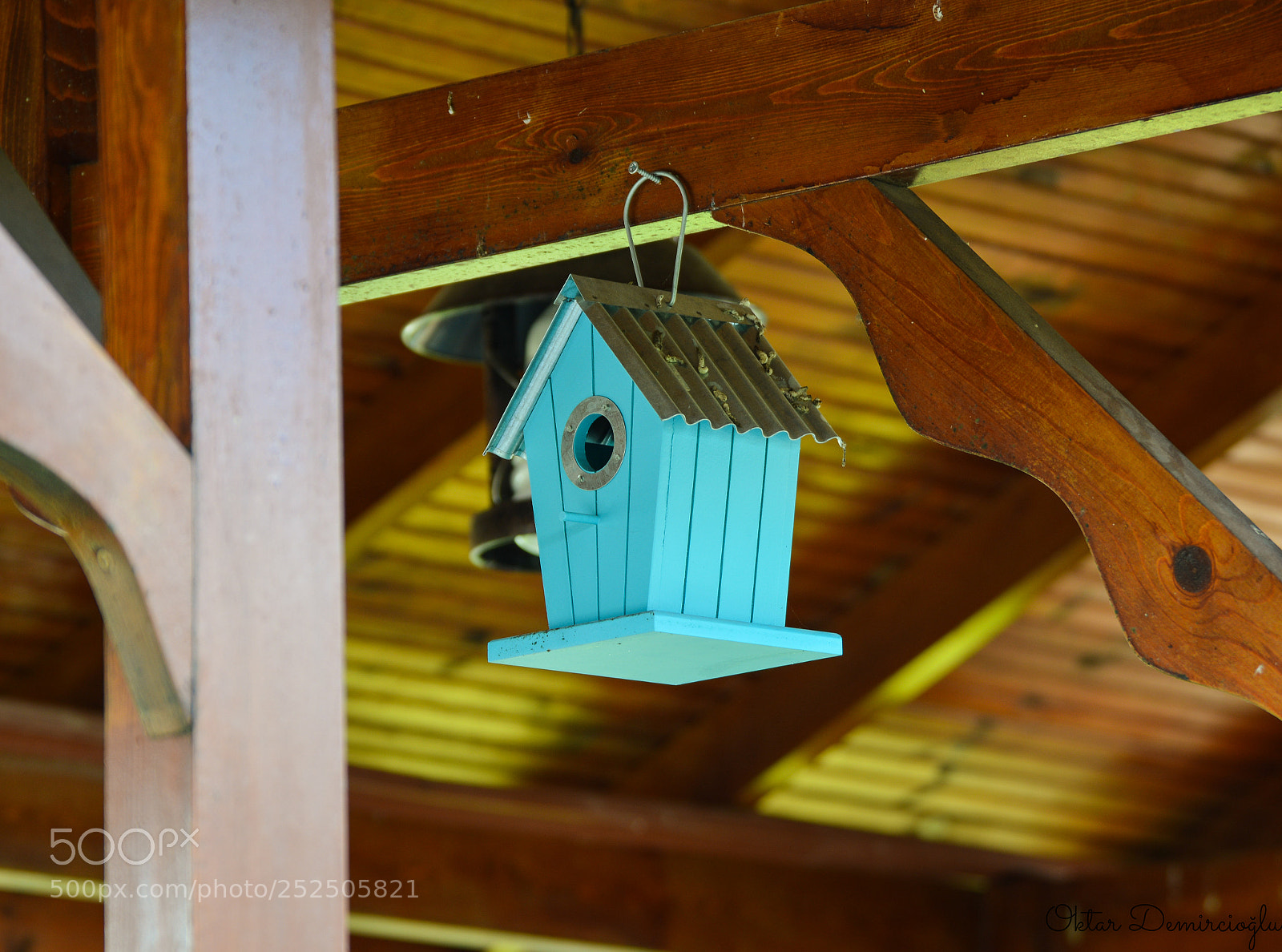 Nikon D3200 sample photo. Birdhouse photography