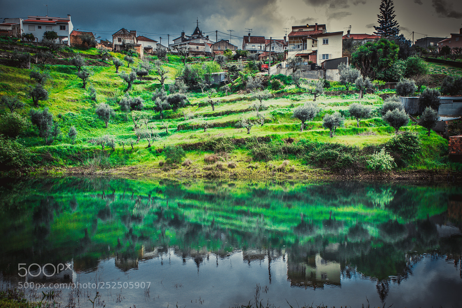 Nikon D5500 sample photo. Green mirror photography