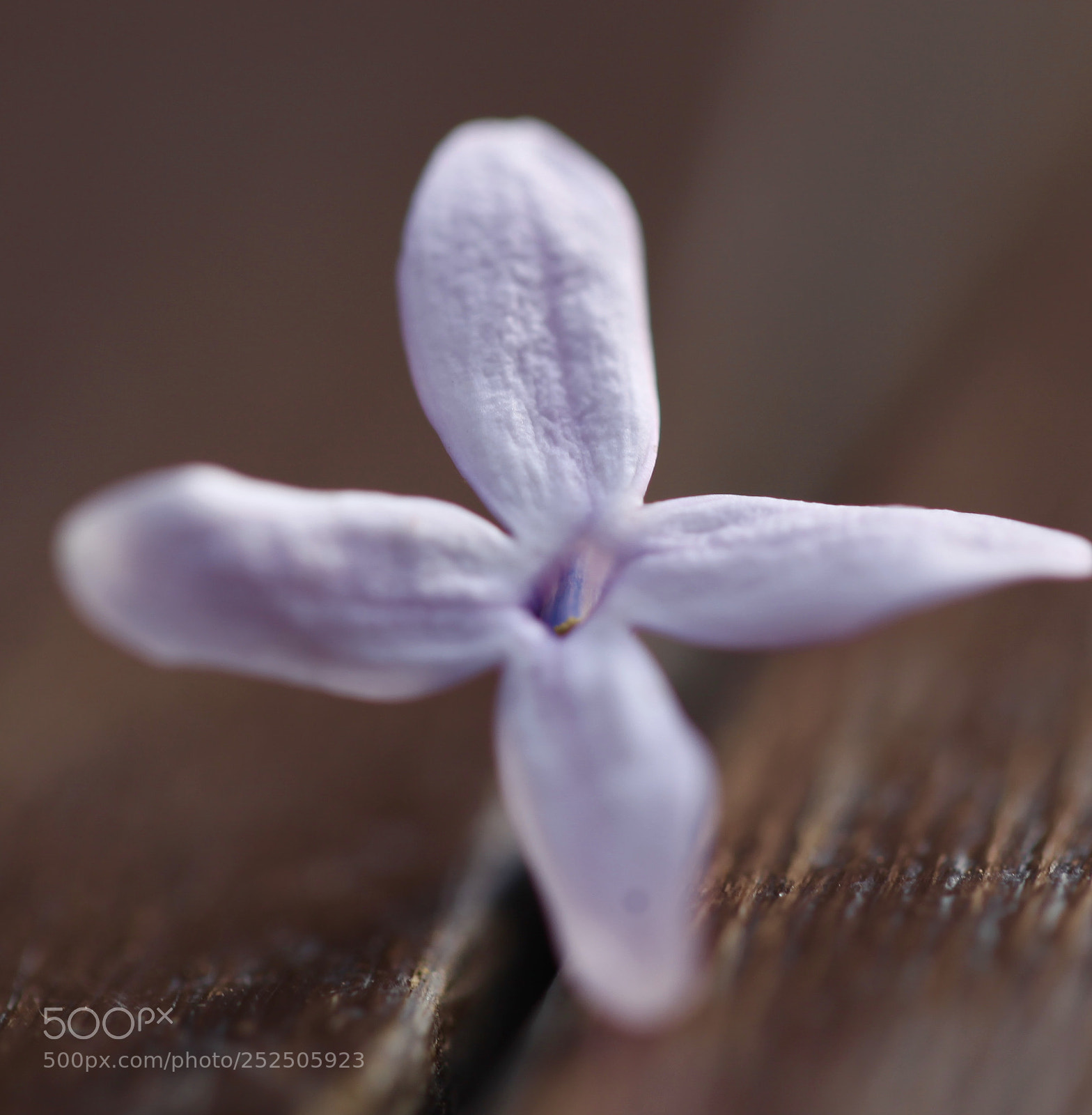 Canon EOS 5D Mark II sample photo. Untitled photography