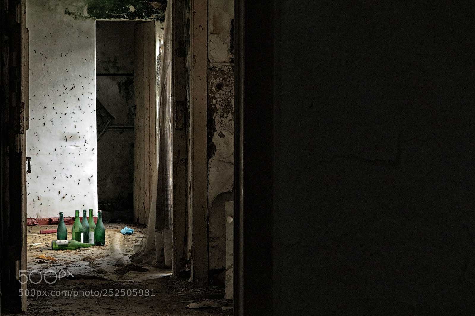 Canon EOS 750D (EOS Rebel T6i / EOS Kiss X8i) sample photo. Five green bottles standing photography