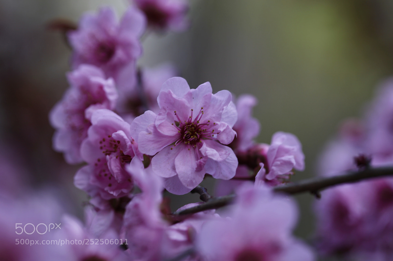 Canon EOS 5D Mark II sample photo. Untitled photography