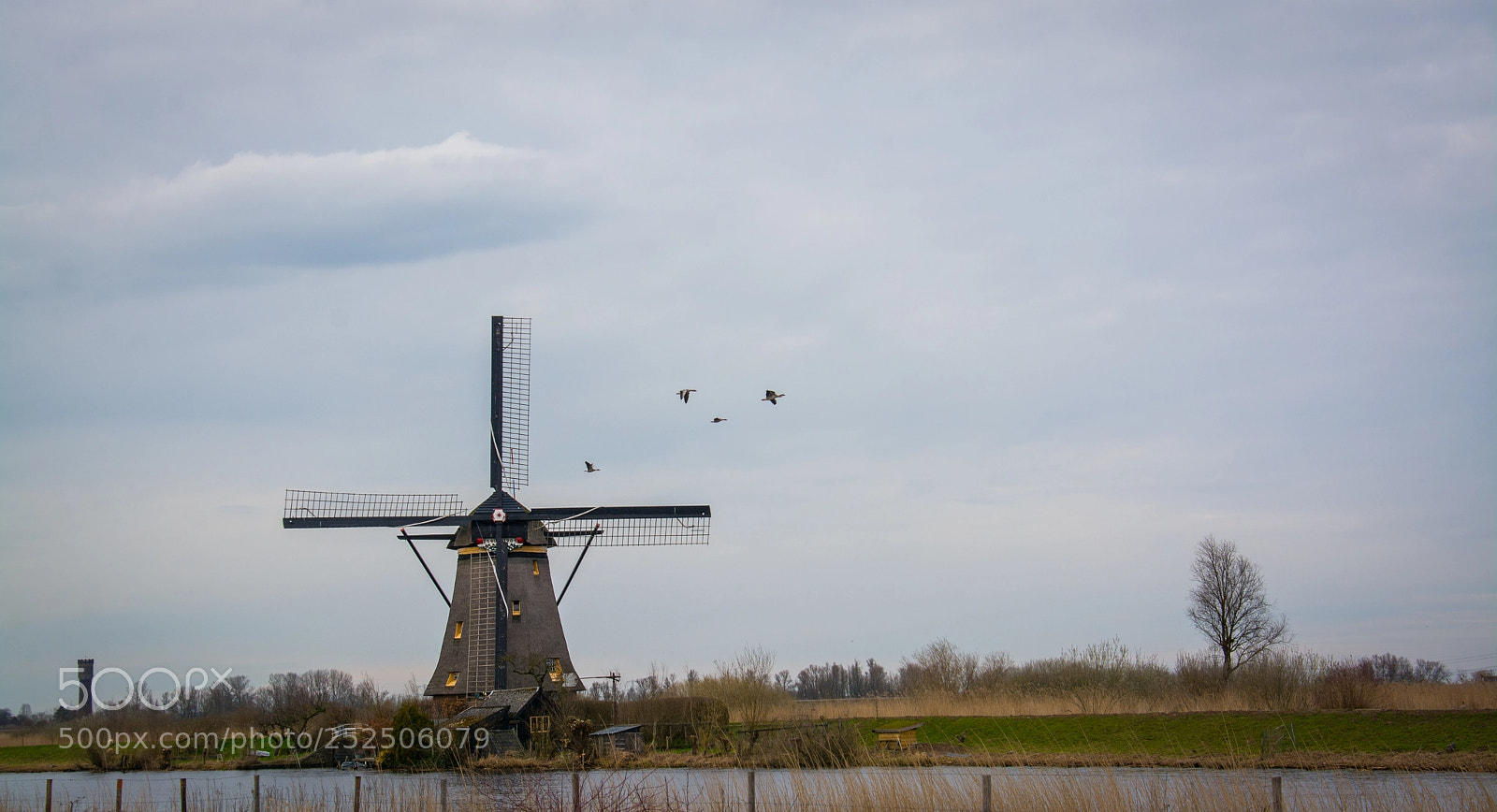 Nikon D7100 sample photo. Netherlands photography