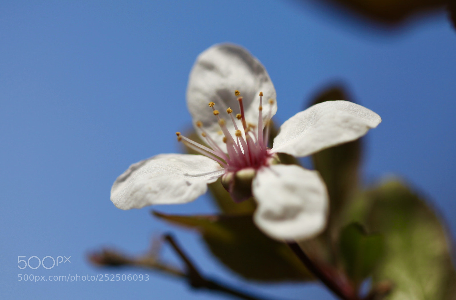 Canon EOS 5D Mark II sample photo. Untitled photography