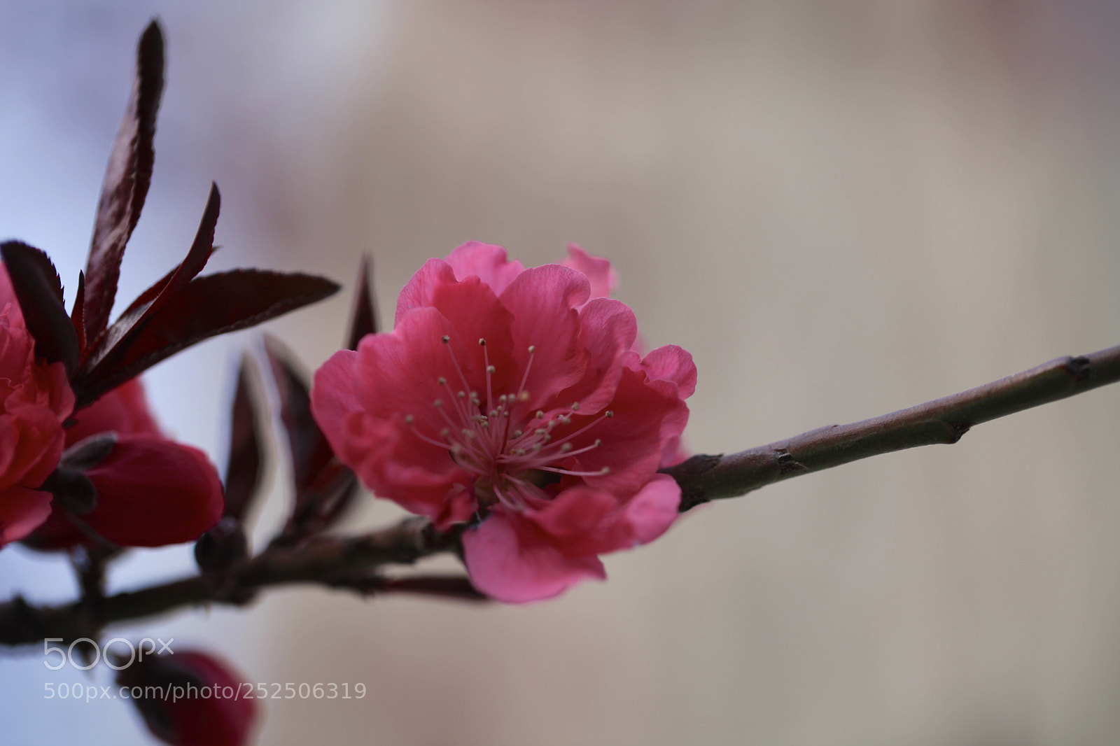 Canon EOS 5D Mark II sample photo. Untitled photography