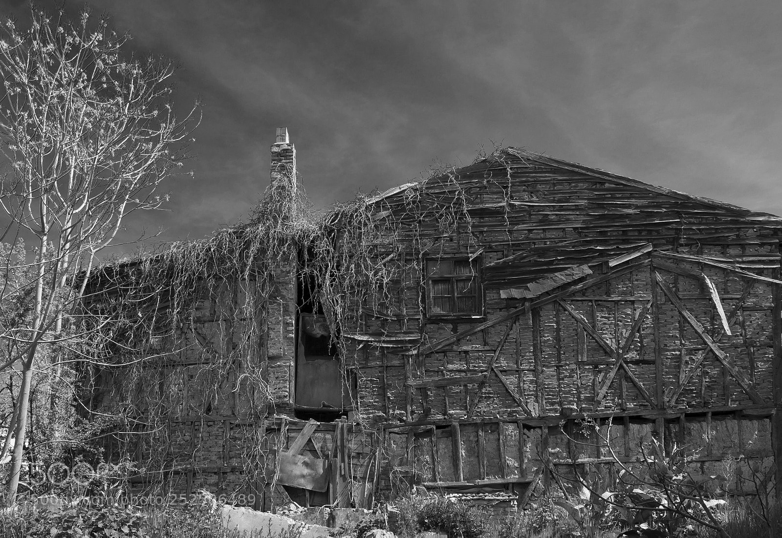Canon EOS 650D (EOS Rebel T4i / EOS Kiss X6i) sample photo. Abandoned photography
