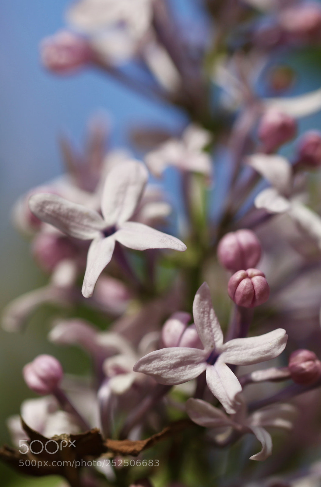 Canon EOS 5D Mark II sample photo. Untitled photography