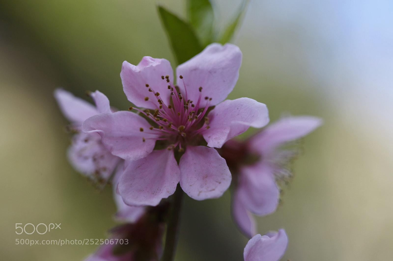 Canon EOS 5D Mark II sample photo. Untitled photography