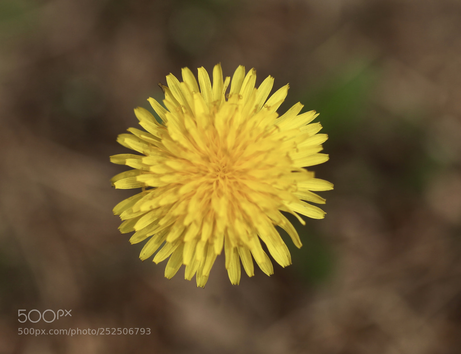 Canon EOS 5D Mark II sample photo. Untitled photography