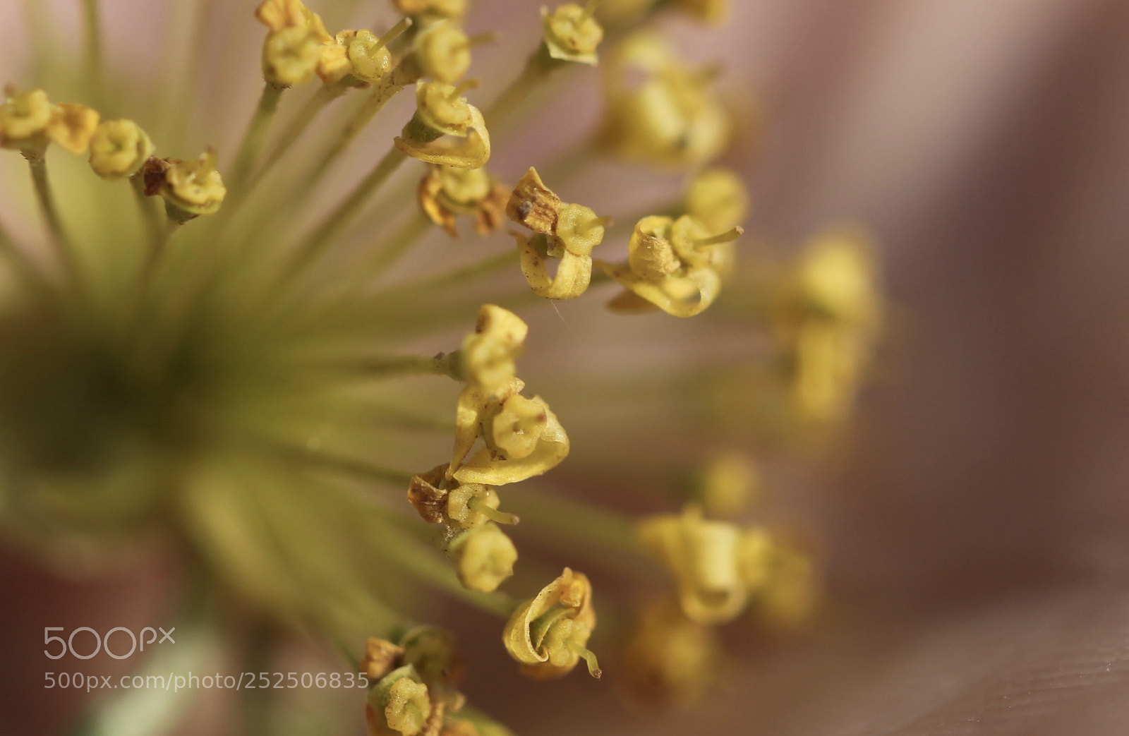 Canon EOS 5D Mark II sample photo. Untitled photography