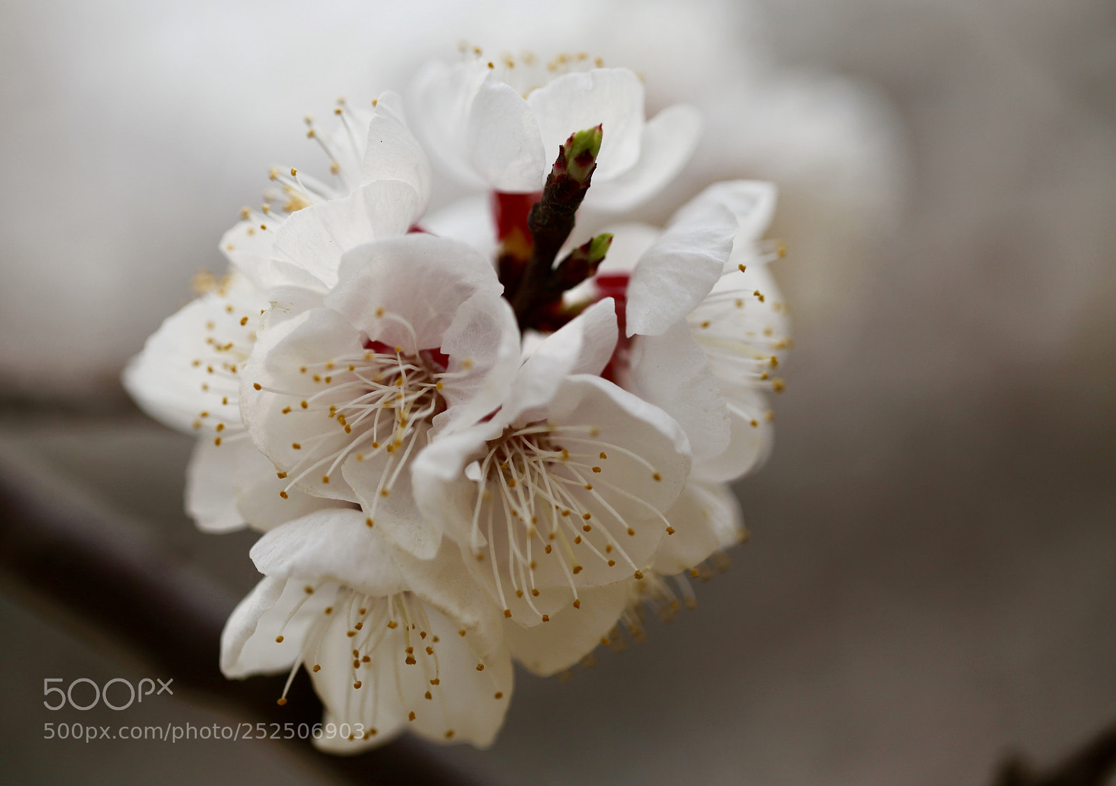 Canon EOS 5D Mark II sample photo. Untitled photography