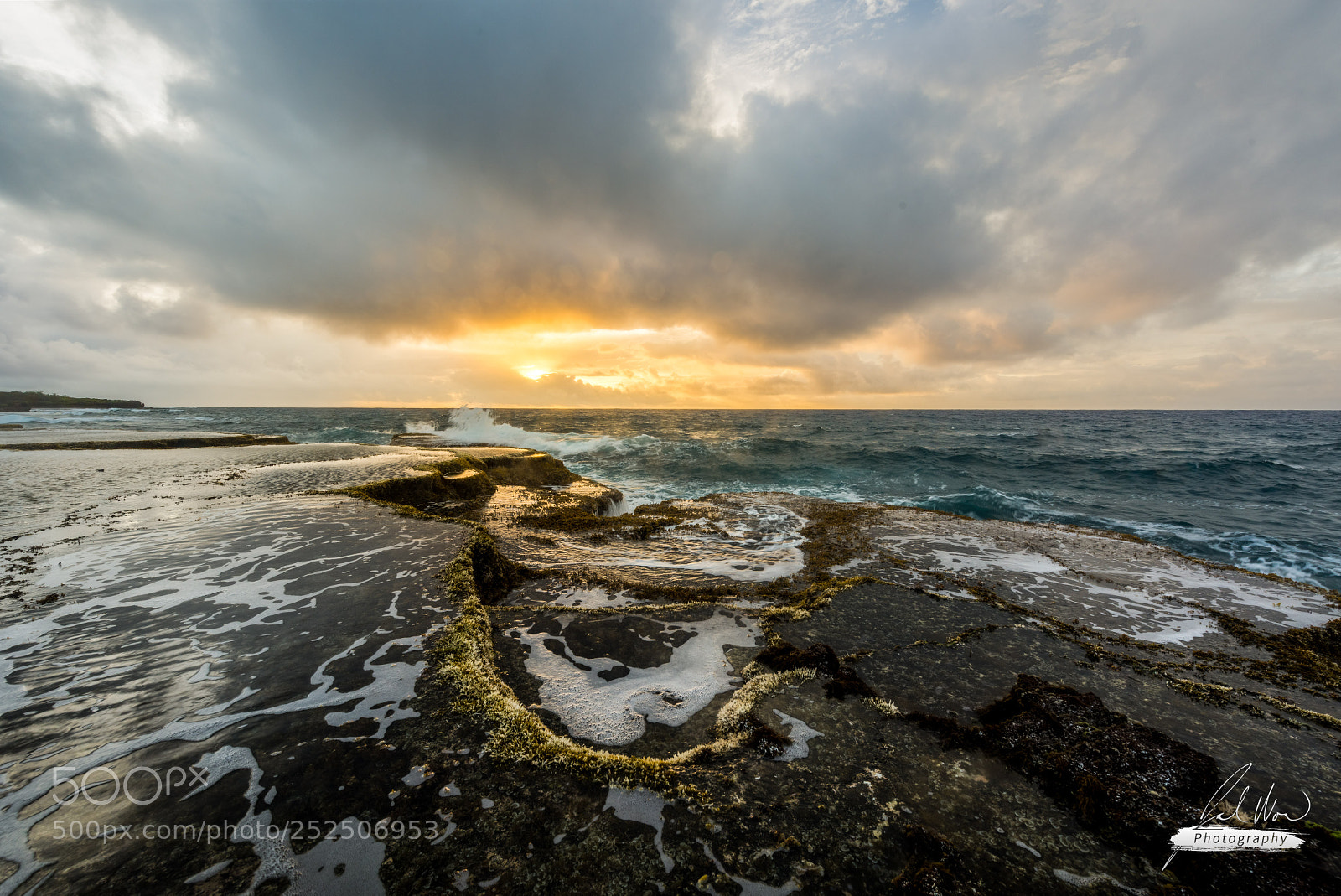 Nikon D810 sample photo. Asgon point tide pools photography