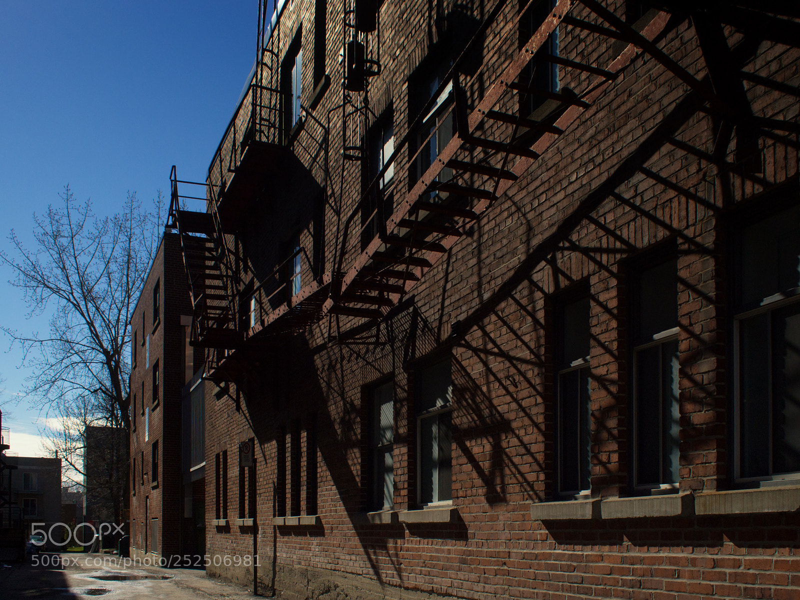 Olympus PEN E-PL3 sample photo. Webbed alley photography