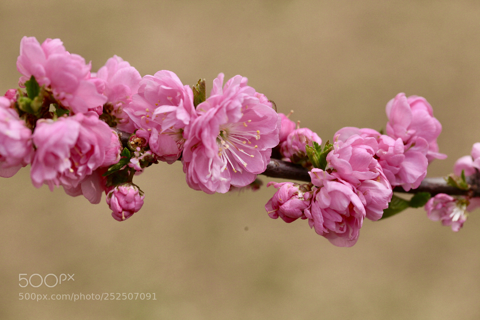 Canon EOS 5D Mark II sample photo. Untitled photography