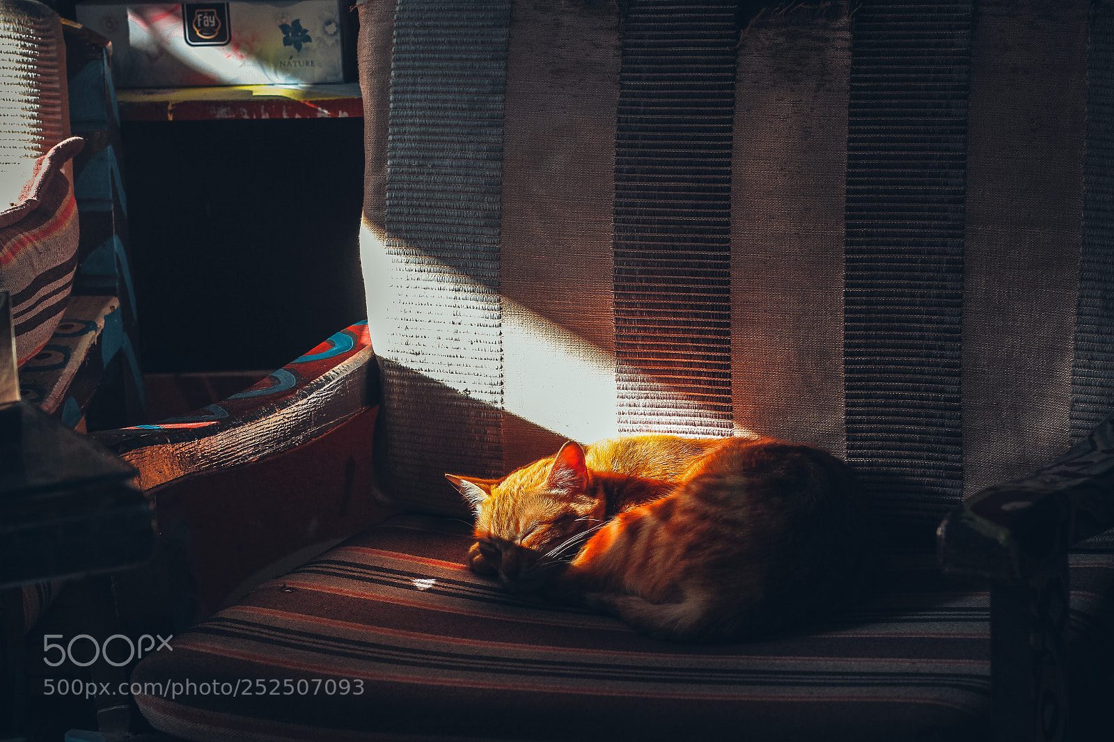 Canon EOS 700D (EOS Rebel T5i / EOS Kiss X7i) sample photo. Sleeping peacefully photography