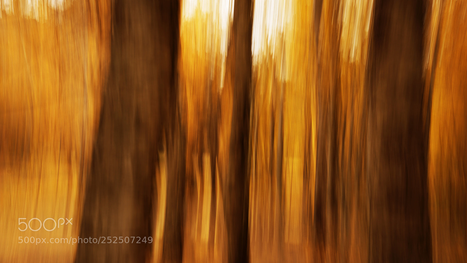 Sony a7 II sample photo. Abstrato photography