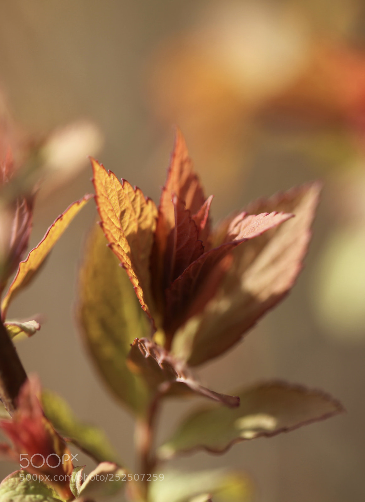Canon EOS 5D Mark II sample photo. Untitled photography