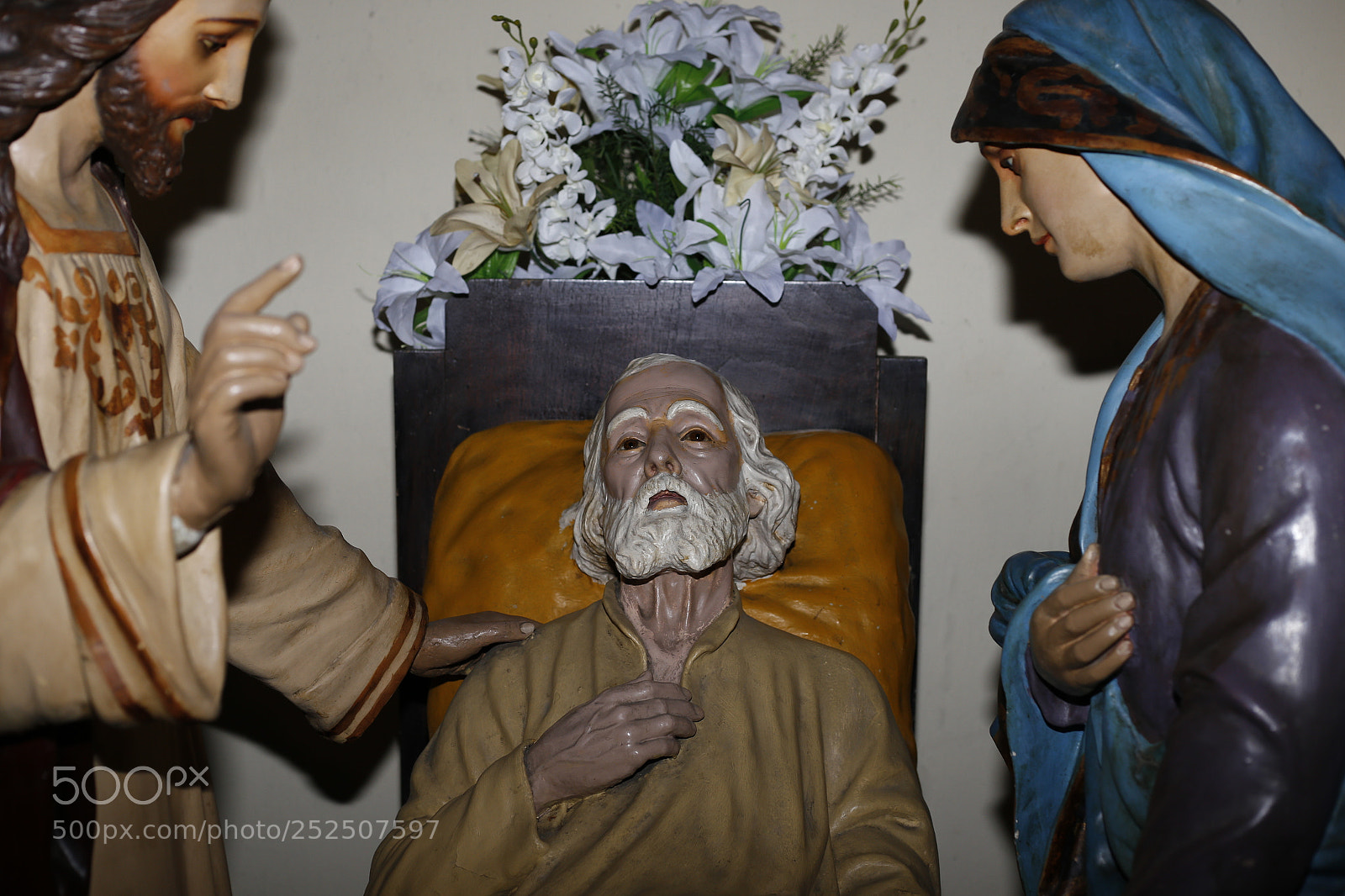 Canon EOS 6D + Canon EF 50mm F1.8 STM sample photo. Untitled photography